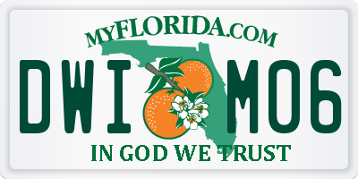 FL license plate DWIM06