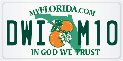 FL license plate DWIM10