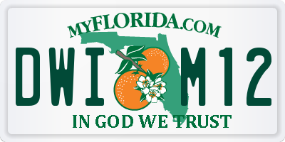 FL license plate DWIM12