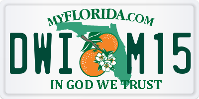 FL license plate DWIM15