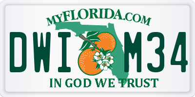 FL license plate DWIM34