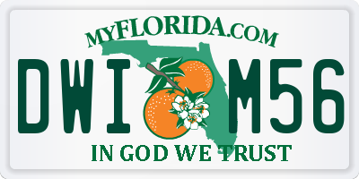 FL license plate DWIM56