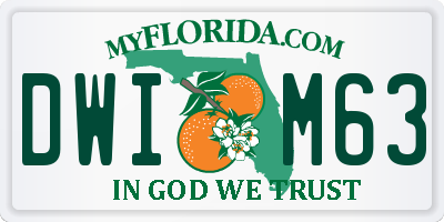 FL license plate DWIM63