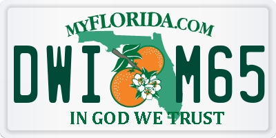 FL license plate DWIM65