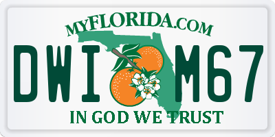 FL license plate DWIM67
