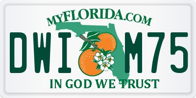 FL license plate DWIM75
