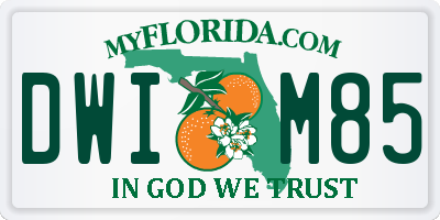 FL license plate DWIM85
