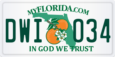 FL license plate DWIO34