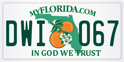 FL license plate DWIO67
