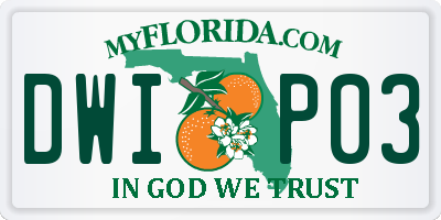 FL license plate DWIP03