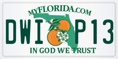 FL license plate DWIP13