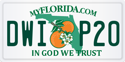 FL license plate DWIP20