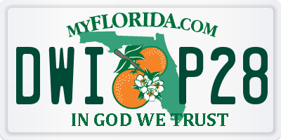 FL license plate DWIP28