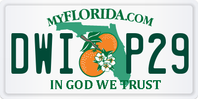 FL license plate DWIP29