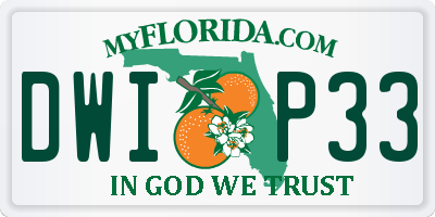 FL license plate DWIP33