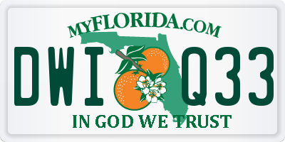 FL license plate DWIQ33