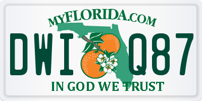 FL license plate DWIQ87