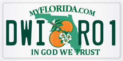 FL license plate DWIR01