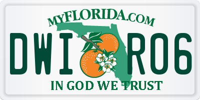 FL license plate DWIR06