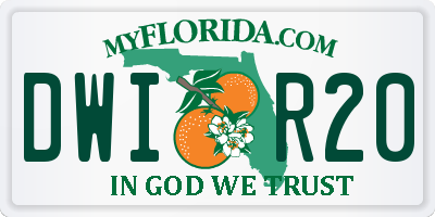FL license plate DWIR20