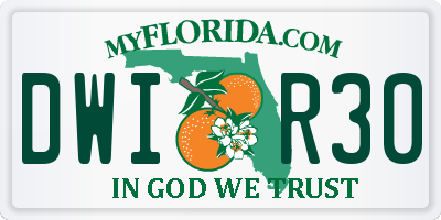 FL license plate DWIR30