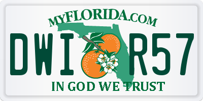 FL license plate DWIR57