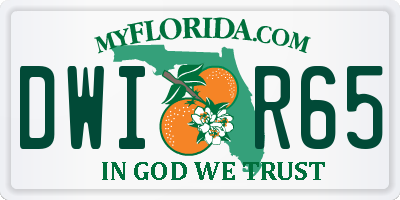 FL license plate DWIR65
