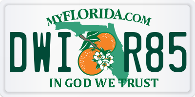 FL license plate DWIR85