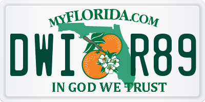 FL license plate DWIR89