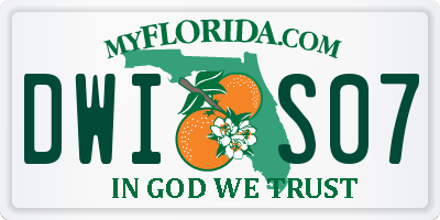 FL license plate DWIS07