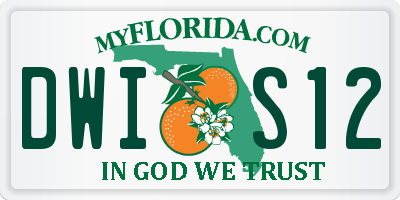 FL license plate DWIS12