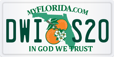 FL license plate DWIS20