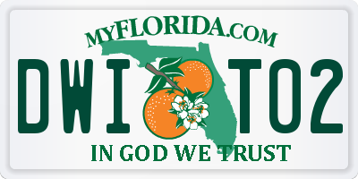 FL license plate DWIT02
