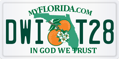 FL license plate DWIT28
