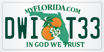 FL license plate DWIT33