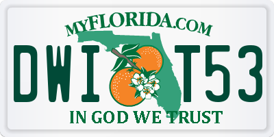 FL license plate DWIT53