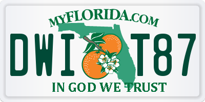 FL license plate DWIT87