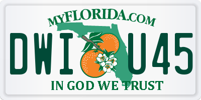 FL license plate DWIU45