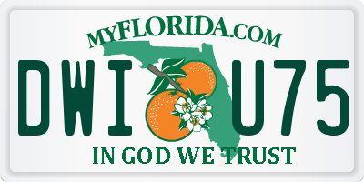 FL license plate DWIU75