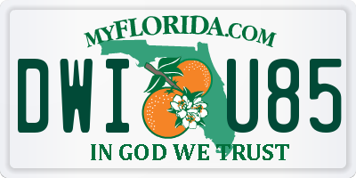 FL license plate DWIU85