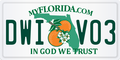 FL license plate DWIV03