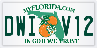 FL license plate DWIV12