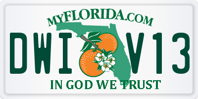 FL license plate DWIV13