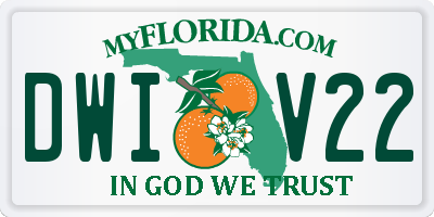 FL license plate DWIV22