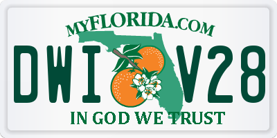FL license plate DWIV28