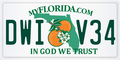 FL license plate DWIV34