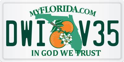FL license plate DWIV35