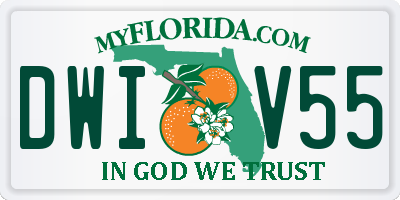 FL license plate DWIV55