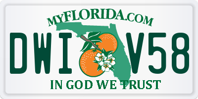 FL license plate DWIV58