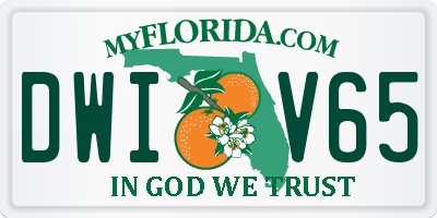 FL license plate DWIV65